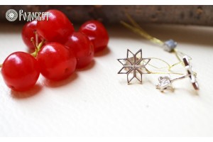Сережки “Алатир” Срібло Сережки “Алатир” Срібло